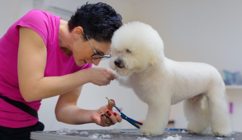 7 Free Ways You Can Get More Dog Grooming Clients
