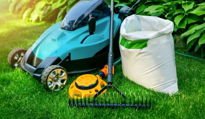 Cost to set up a website for a lawn care business