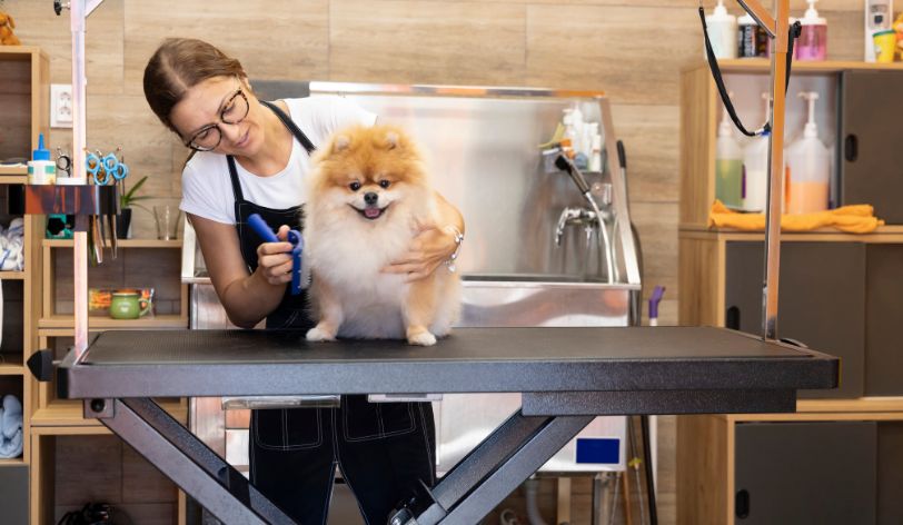 The 10 Best Places To Advertise Your Pet Grooming Business Online