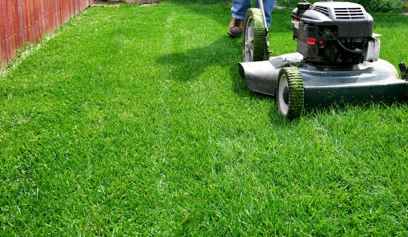 The 10 Best Ways To Promote Your Lawn Care Business